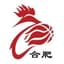 Hefei Yuanchang - Team Hefei Yuanchang Basketball Live Score