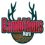 Bambitious Nara - Team Bambitious Nara Basketball