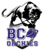 SASP BC Orchies - Team Sasp Bc Orchies Live Score