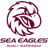 Manly Warringah Sea Eagles - Team Norths Bears Scores