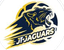 JT Jaguars - Team Jt Jaguars Live Result