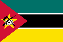 Mozambique Women logo