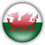 Wales - Team Wales Result