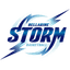 Bellarine Storm - Team Bellarine Storm Live Score Today