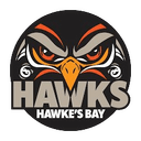 Bay Hawks - Bay Hawks Vs Auckland Tuatara Live Score Today