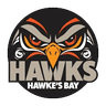 Bay Hawks - Team Whai Live Score Today