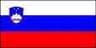Slovenia U20 logo