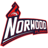 Norwood Flames Women logo