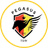 Pegasus - Team Eagle Result