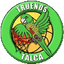 Truenos de Talca Women - Team Truenos De Talca Women Live Basketball