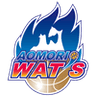 Aomori Wat's - Team Iwate Big Bulls Live Score