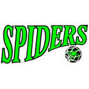 Hornsby Spiders Women - Hornsby Spiders Women Vs Albury Wodonga Women Live Score