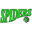 Hornsby Spiders Women - Team Hornsby Spiders Women Live Score