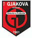 Gjakova e Re - Team Gjakova E Re Schedule