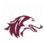 Southern Illinois Women - Team Southern Illinois Women Basketball Live
