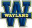 Wayland Baptist Univ - Team Wayland Baptist Univ Basketball