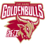 Zhejiang Golden Bulls U19 - Team Zhejiang Golden Bulls U Basketball Result