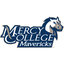 mercy college - Team Mercy College Live Basketball