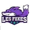 Les Foxes Women - Armenia Championshipw Les Foxes Women Vs Hatis Yerevan Women Live Score