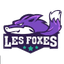 Les Foxes Women - Team Les Foxes Women Live Score