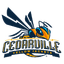 Cedarville University - Team Cedarville University Sport
