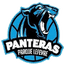 Panteras Costa Del Este - Team Panteras Costa Del Este Live Basketball