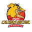 Caxias do Sul Basquete Recreio da Juventude U22 logo