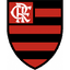 Flamengo U19 - Team Flamengo U Scores