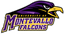Montevallo - Team Montevallo Basketball Score