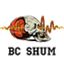 SHUM - Team Shum Basketball Live Score