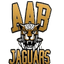 AAB Jaguars - Team Aab Jaguars Scores