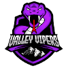 Virginia Valley Vipers - Albany Patroons Vs Virginia Valley Vipers Basketball Live Score