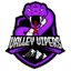 Virginia Valley Vipers - Team Virginia Valley Vipers Basketball Live Score