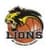 BK Lions Jindrichuv Hradec