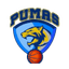 CD Pumas SAESA - Team Cd Pumas Saesa Results