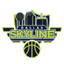 Dallas Skyline - Team Dallas Skyline Live Basketball
