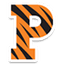 Princeton - Team Princeton Live Result