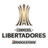 Copa Libertadores - Football Online