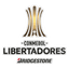 Copa Libertadores - Copa Libertadores 32155 Football Result