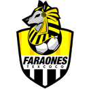 Faraones Texcoco II - Tulancingo VS Faraones Texcoco Ii Result