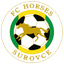 FC Horses Surovce - Team Fc Horses Surovce 315987 Football Result