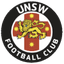 New south Wales U20 - Team New South Wales U 347595 Football