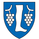 Bosonohy - Cezava VS Bosonohy Result Today