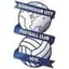 Birmingham Women - Eng Fa Wsl 31859 Live
