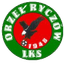 Orzel Ryczow - Team Orzel Ryczow 327420 Live Football