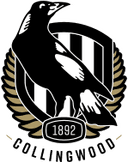 Collingwood Reserves - Reserves VS Brandon Park Reserves Result