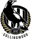 Collingwood Reserves - Team Collingwood Reserves 357728 Football