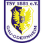TSV 1881 Gau-Odernheim - Team Tsv Gauodernheim 301132 Football Live Score