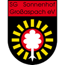 SG Sonnenhof Grossaspach - Grossaspach VS Bayer Leverkusen Live Score