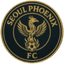 Seoul Phoenix - Team Seoul Phoenix 384342 Scores